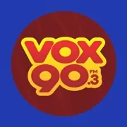 Logo Vox 90